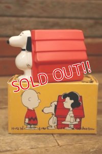ct-210701-19 Snoopy and Doghouse / AVON 1970's Non-Tear Shampoo Bottle (Box)