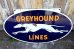 画像1: dp-240301-02 GREYHOUND / 1950's W-sided Porcelain Sign (1)