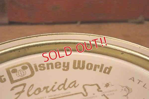 画像7: ct-240301-09 Walt Disney World / 1970's Serving Tin Tray