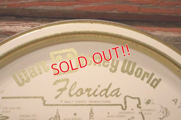 画像3: ct-240301-09 Walt Disney World / 1970's Serving Tin Tray