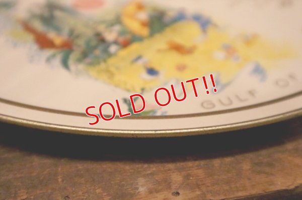 画像8: ct-240301-09 Walt Disney World / 1970's Serving Tin Tray