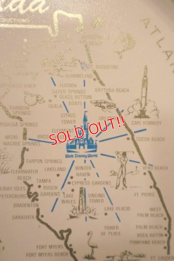 画像4: ct-240301-09 Walt Disney World / 1970's Serving Tin Tray