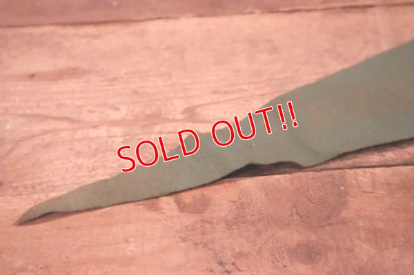 画像7: dp-240301-36 ARIZONA / Indian Head Souvenir Pennant