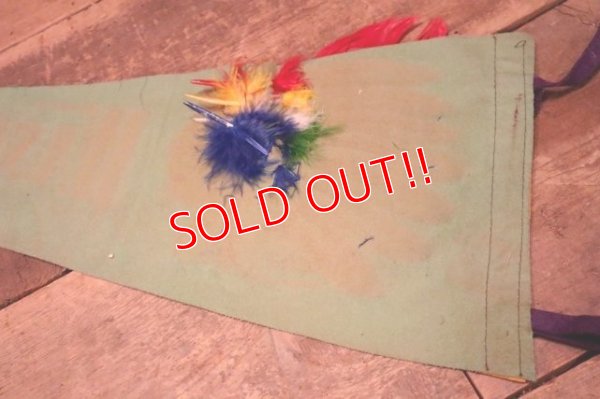 画像7: dp-240301-18 WASHINGTON D.C. / Indian Head Souvenir Pennant