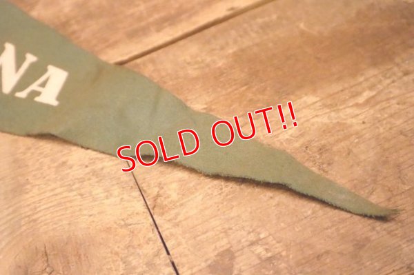 画像4: dp-240301-36 ARIZONA / Indian Head Souvenir Pennant