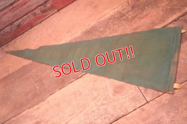 画像6: dp-240301-36 ARIZONA / Indian Head Souvenir Pennant