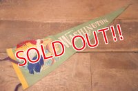 dp-240301-18 WASHINGTON D.C. / Indian Head Souvenir Pennant