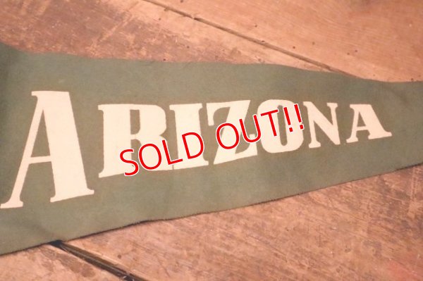 画像3: dp-240301-36 ARIZONA / Indian Head Souvenir Pennant