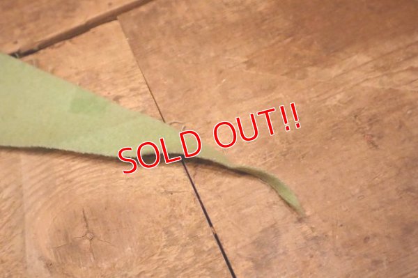 画像5: dp-240301-18 WASHINGTON D.C. / Indian Head Souvenir Pennant