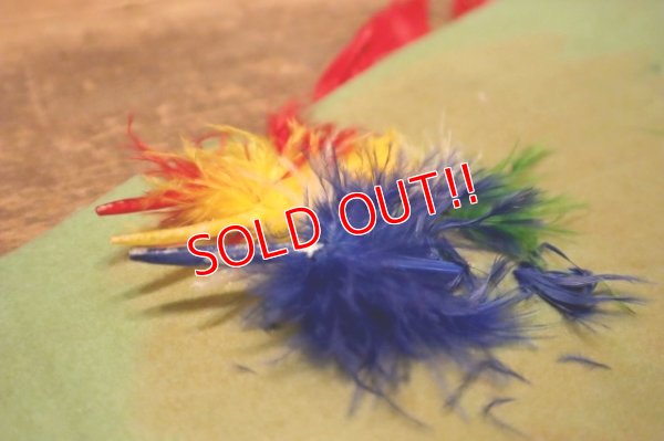 画像8: dp-240301-18 WASHINGTON D.C. / Indian Head Souvenir Pennant