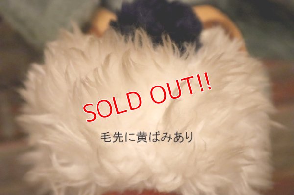 画像5: ct-240214-122 Lady and the Tramp / 1970's Plush Doll Set