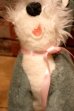 画像4: ct-240214-121 Lady and the Tramp / Tramp 1970's Plush Doll