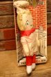 画像5: ct-240214-07 Campbell Kid's / knickerbocker 1970's Doll