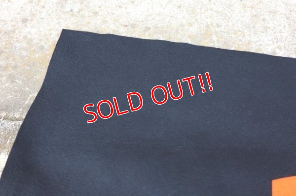 画像6: dp-230414-54 PRINCETON / 1949 Felt Banner