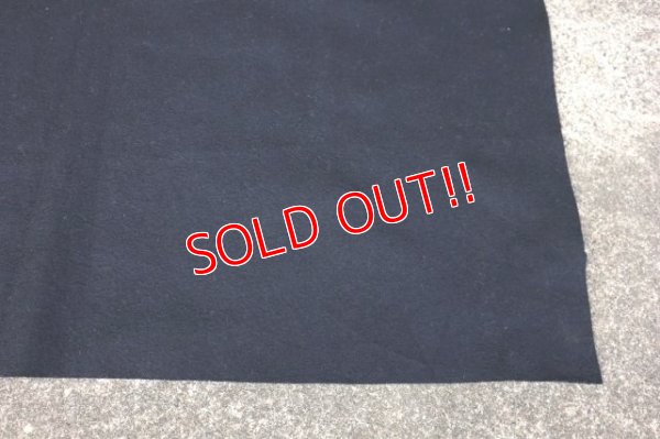 画像7: dp-230414-54 PRINCETON / 1949 Felt Banner