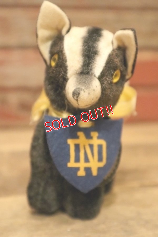 画像2: ct-240311-11 University of Notre Dame / Collegiate 1950's Mascot Doll "Wee STINKER"