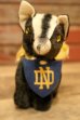 画像2: ct-240311-11 University of Notre Dame / Collegiate 1950's Mascot Doll "Wee STINKER" (2)