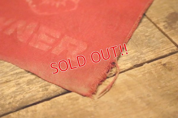 画像9: dp-240301-37 Safety Red Flag