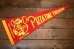 画像1: ct-240301-11 CHUCK E. CHEESE / 1970's PIZZA TIME THEATRE Pennant (1)