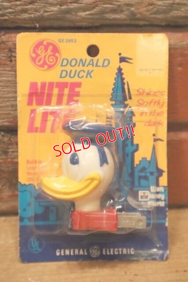 画像1: ct-240418-37 Donald Duck / GENERAL ELECTRIC 1970's NITE LIGHT