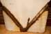 画像7: dp-240508-103 NO PARKING IN ALLEY / Enamel Road Sign