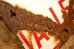 画像5: dp-240508-103 NO PARKING IN ALLEY / Enamel Road Sign
