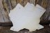 画像9: dp-240508-78 Lite BEER / State of Texas 1980's-1990's Metal Sign