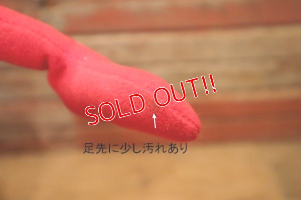 画像8: ct-240611-05 Road Runner / MIGHTY STAR 1992 Plush Doll