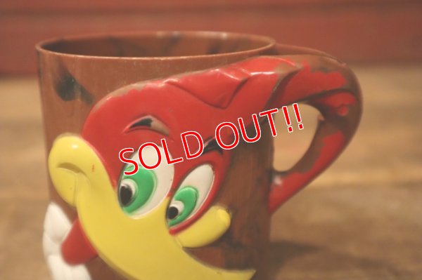 画像4: ct-240911-05 Woody Woodpecker / 1960's Plastic Mug & Bowl Set (D)