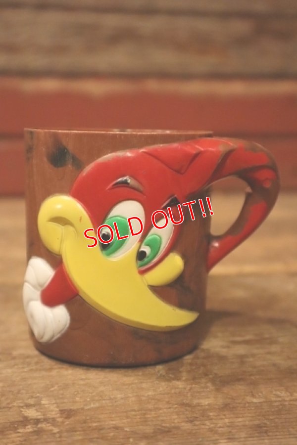 画像3: ct-240911-05 Woody Woodpecker / 1960's Plastic Mug & Bowl Set (D)
