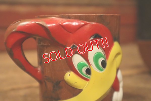 画像5: ct-240911-05 Woody Woodpecker / 1960's Plastic Mug & Bowl Set (D)