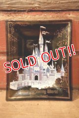 ct-240814-30 Walt Disney World / 1970's Souvenir Glass Tray