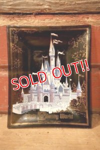 ct-240814-30 Walt Disney World / 1970's Souvenir Glass Tray