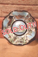 ct-240814-29 Walt Disney World / The Magic Kingdom 1970's Souvenir Glass Tray