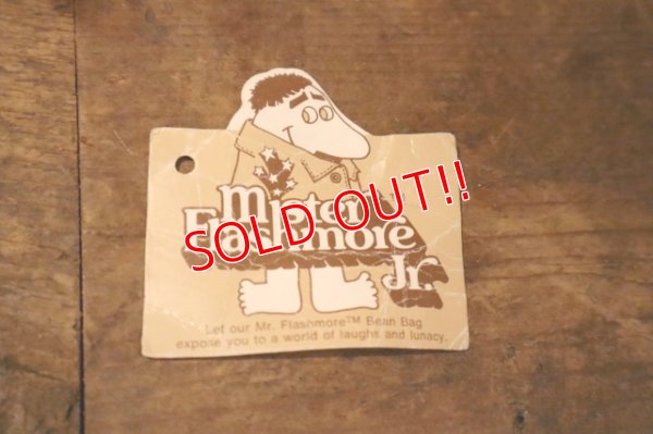 画像9: ct-241008-97 Mister Flashmore Jr. / Wallace Berrie 1977 Doll