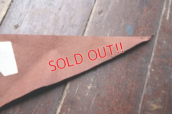 画像7: ct-241027-01 BATMAN & ROBIN / 1966 Pennant