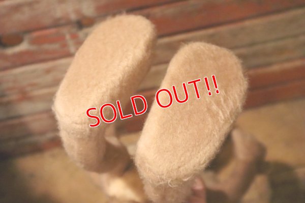 画像9: ct-241008-51 Wile E. Coyote / MIGHTY STAR 1970's Plush Doll