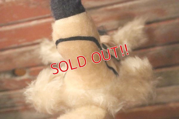 画像3: ct-241008-51 Wile E. Coyote / MIGHTY STAR 1970's Plush Doll