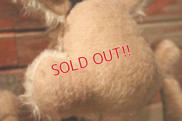 画像8: ct-241008-51 Wile E. Coyote / MIGHTY STAR 1970's Plush Doll