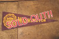 dp-241106-29 UNIVERSITY OF WASHINGTON /  Vintage Mini Pennant