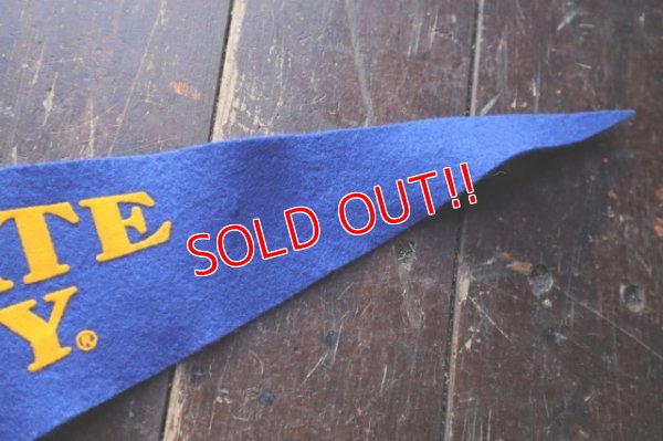 画像4: dp-241106-26 SAN JOSE STATE UNIVERSITY Vintage Pennant