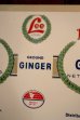 画像2: dp-250205-77 LEE ISIS FOODS GROUND GINGER (2)