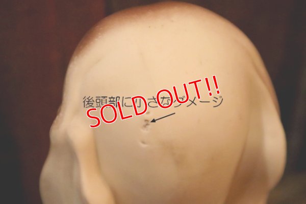 画像7: ct-250205-30 KAYSAM 1950's SAD DOG SQUEAKY DOLL