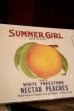 画像4: dp-250205-77 THE H.D. LEE FOODS DIVISON SUMMER GIRL NECTAR PEACHES LABEL (4)