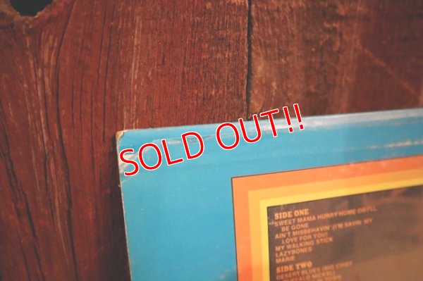 画像7: ct-250405-04 Michigan J. Frog / LEON REDBONE 1975 LP Record