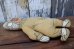 画像6: ct-250404-27 The Banana Splits / Drooper 1970's Pillow Doll