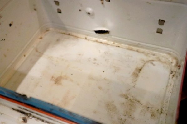 画像13: ct-250404-34 Hong Kong Pooey / THERMOS 1970's Metal Lunch Box