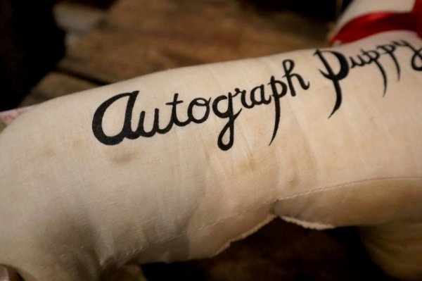 画像10: ct-250319-33 Jerry Elsner Co. 1960's〜 Autograph Puppy Doll