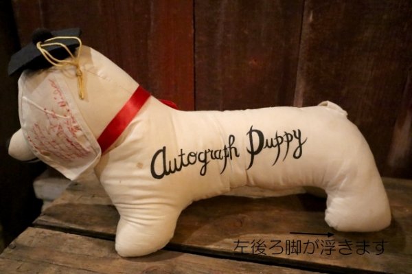 画像6: ct-250319-33 Jerry Elsner Co. 1960's〜 Autograph Puppy Doll