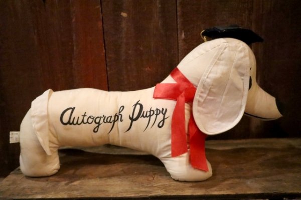 画像5: ct-250319-33 Jerry Elsner Co. 1960's〜 Autograph Puppy Doll